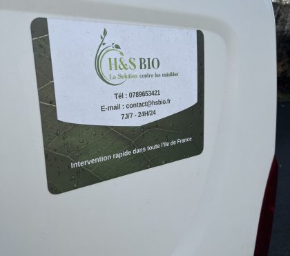 IMG_2744 IMG_2744